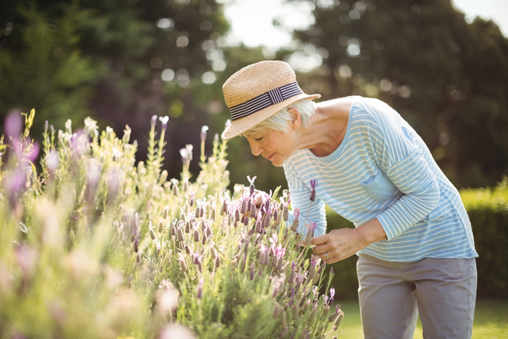 Wellness Garden